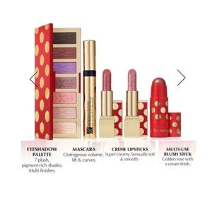 Estee Lauder Set with Purple and Gold eyeshadow Shades, blush and lipsticks